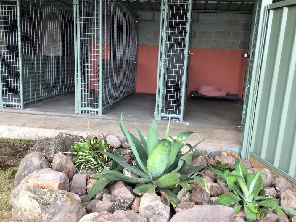 Port Stephens Boarding Kennels - Australia pet otel görseli 6