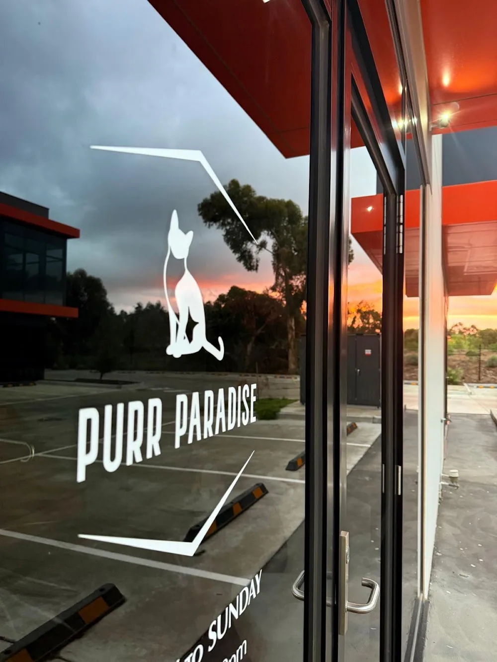 Purr Paradise - Australia pet otel görseli 6