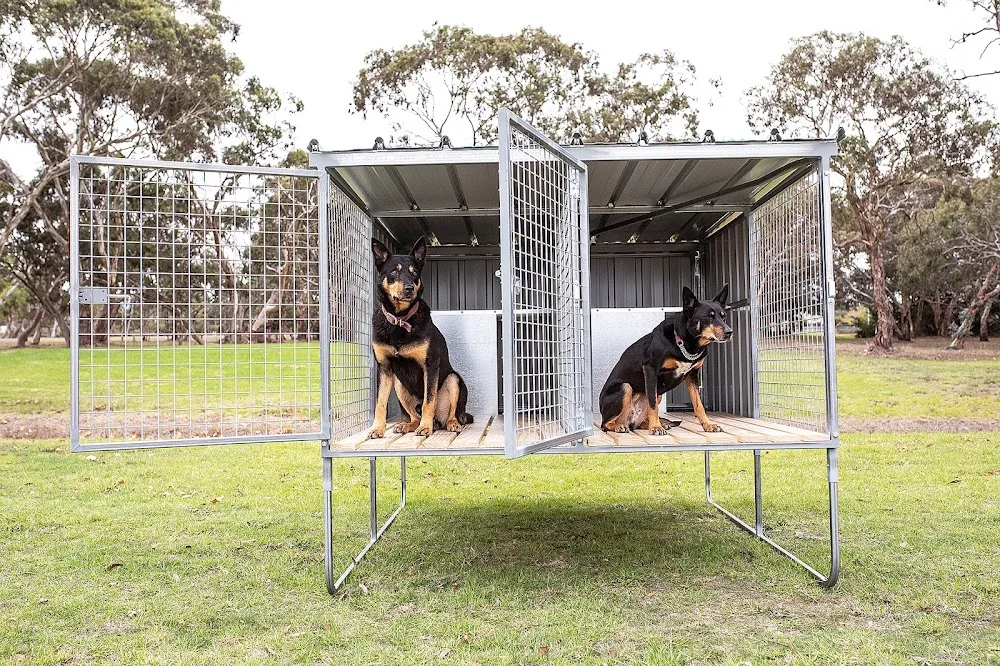 Raised Run Dog Kennels - Australia pet otel görseli 3