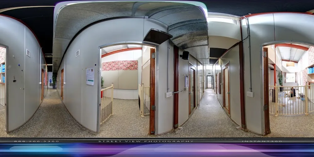 SmallPaws Pet Hotel Sydney - Australia pet otel görseli 8