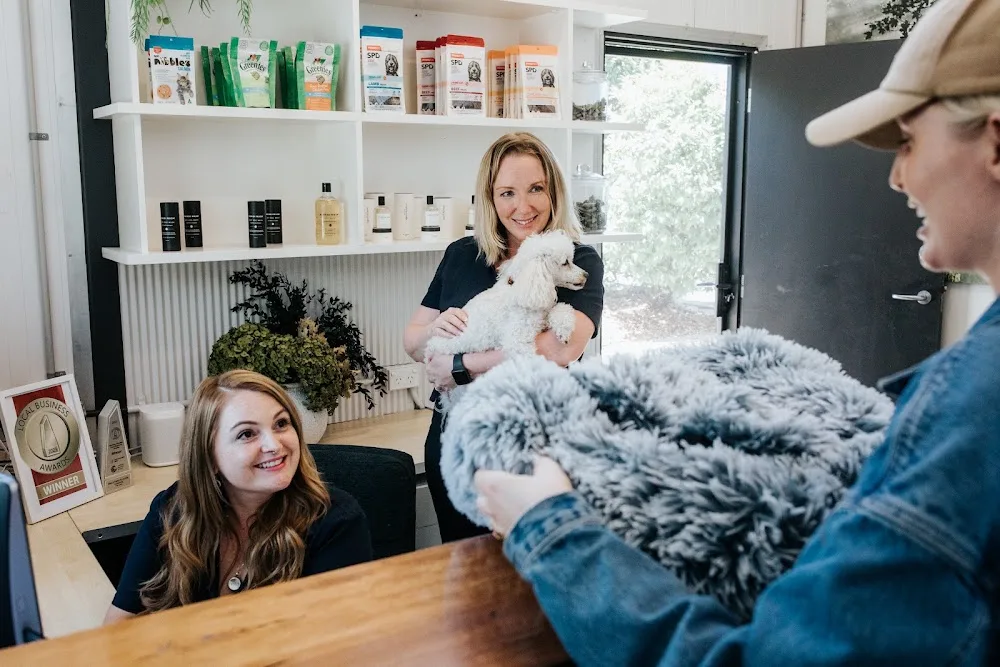 SmallPaws Pet Hotel Sydney - Australia pet otel görseli 10
