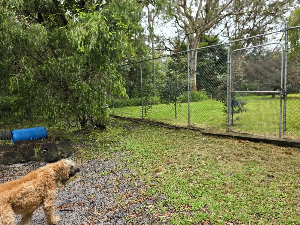 The Kennels Nelson Bay - Australia pet otel görseli 2