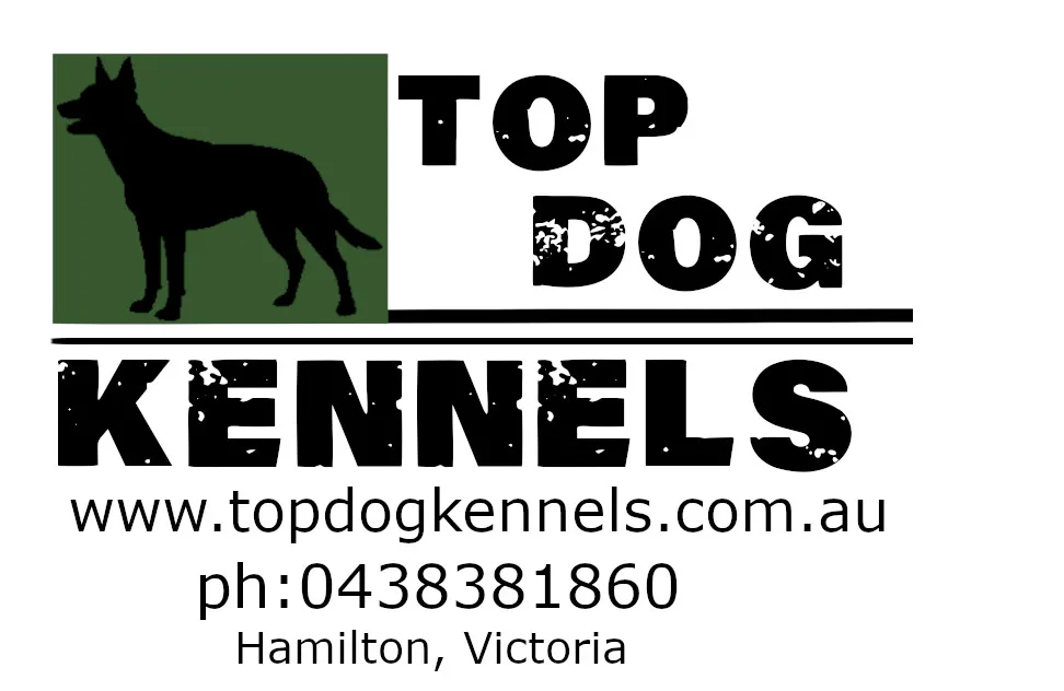 Top Dog Kennels - Australia pet otel görseli 3