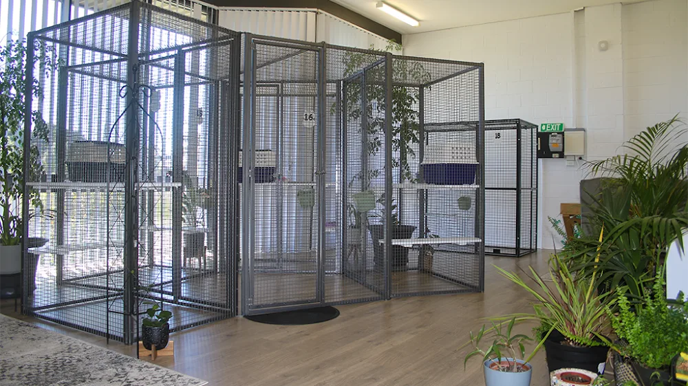 Tullamarine Cat Boarding - Australia pet otel görseli 10