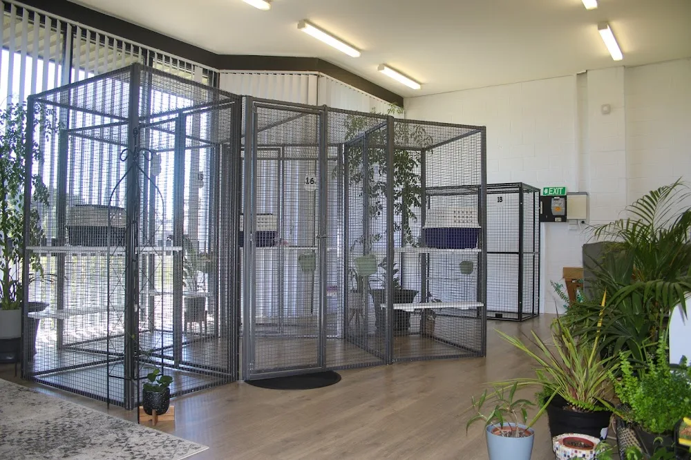 Tullamarine Cat Boarding - Australia pet otel görseli 11