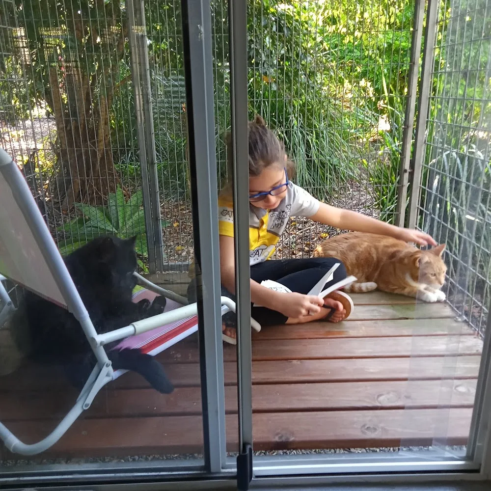 Vacation Cat resort - Australia pet otel görseli 3