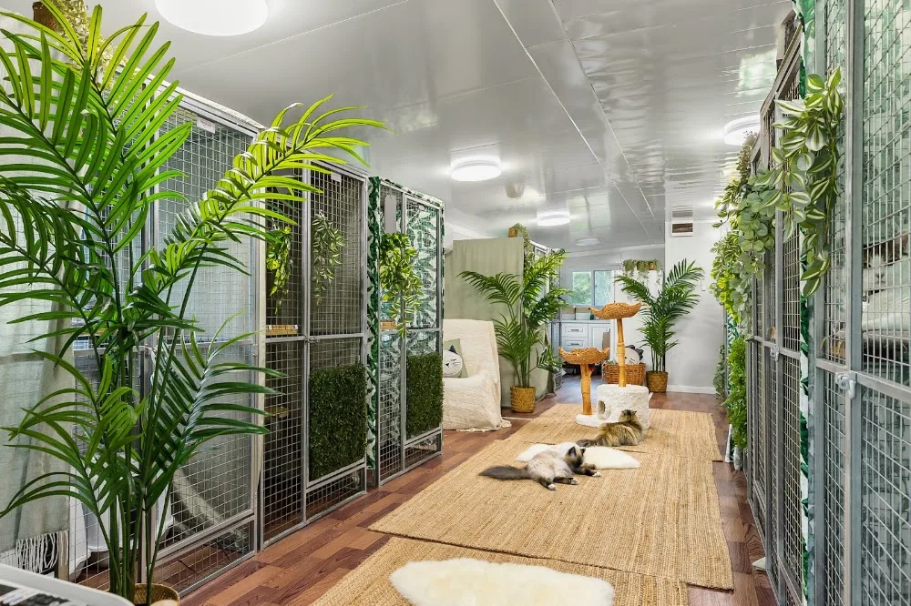 Verrierdale Cat Hotel - Australia pet otel görseli 2