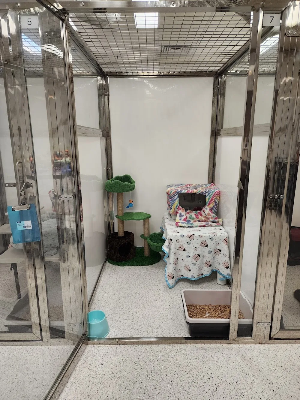 Ava & Archer Cat Grooming & Boarding Cattery - Australian Capital Territory pet otel görseli 3