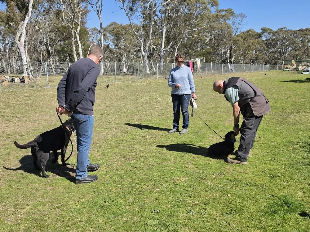 Balanced Dog Academy - Australian Capital Territory pet otel
