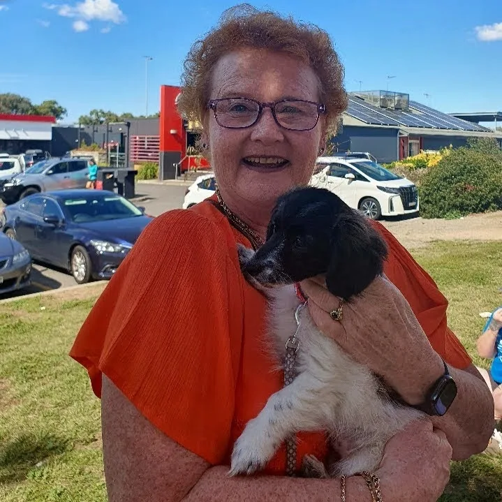 Curtin Cat Care - Kismet - Australian Capital Territory pet otel görseli 4