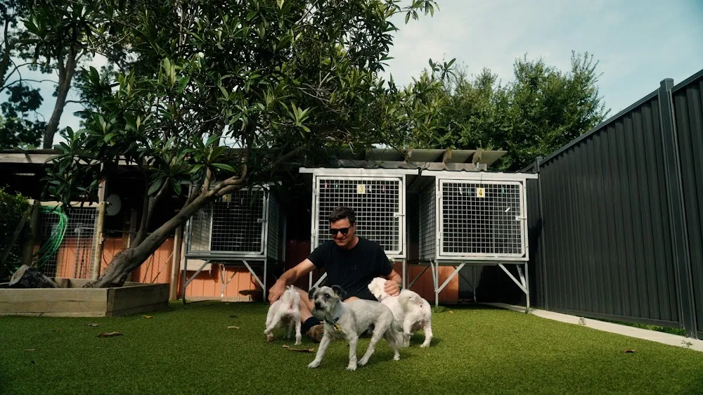 Four Paws Resort Pialligo - Australian Capital Territory pet otel görseli 3