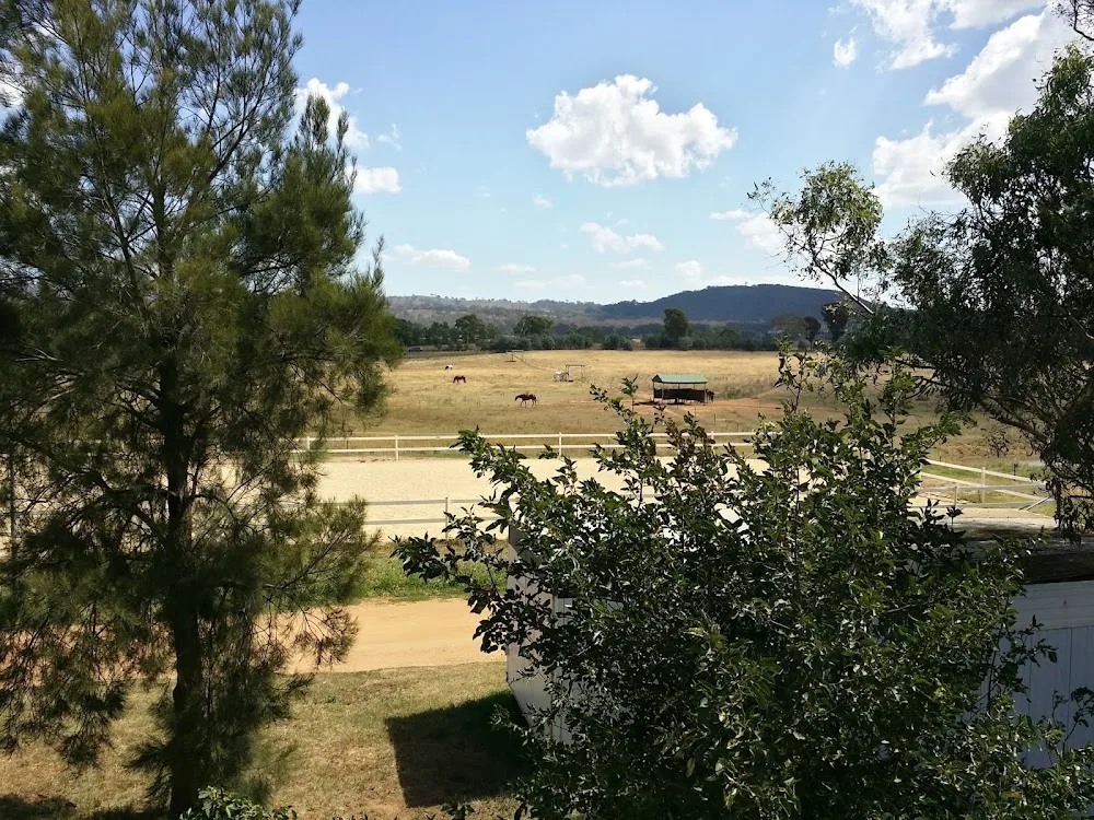 Monaro Park Dog Boarding - Australian Capital Territory pet otel görseli 2