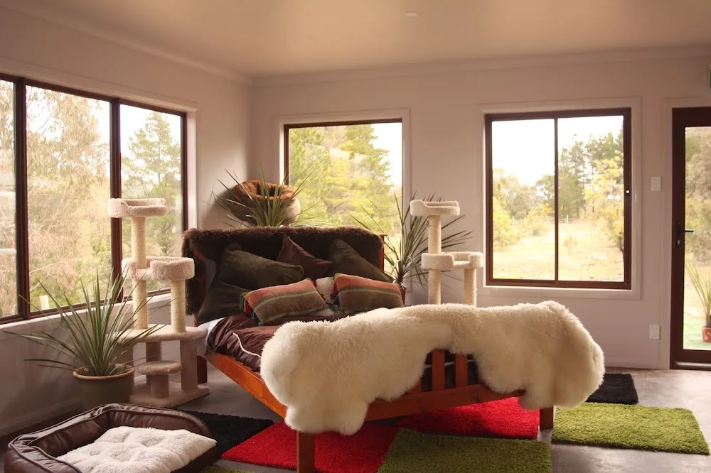 Purr Luxury Cat Hotel - Australian Capital Territory pet otel görseli 6
