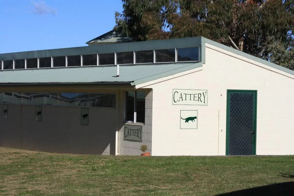 Sonza Veterinary Clinic & Boarding Kennels - Australian Capital Territory pet otel görseli 3