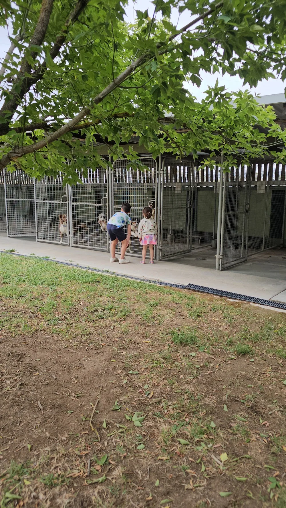 The Dogotel & Purrrfect Cattery - Australian Capital Territory pet otel görseli 2