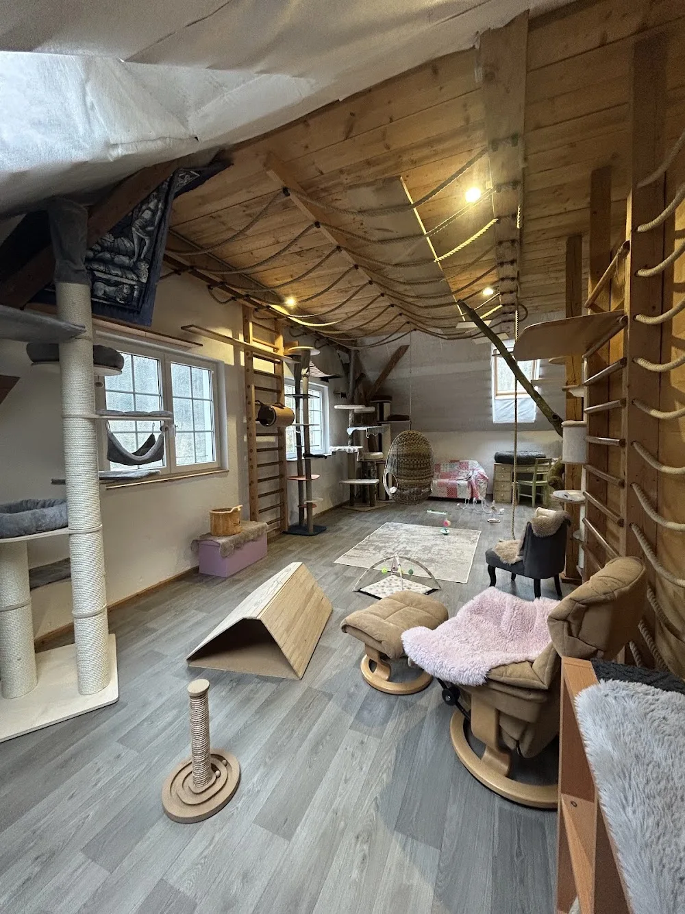 Diemlingmühle-Katzenloft - Austria pet otel görseli 2