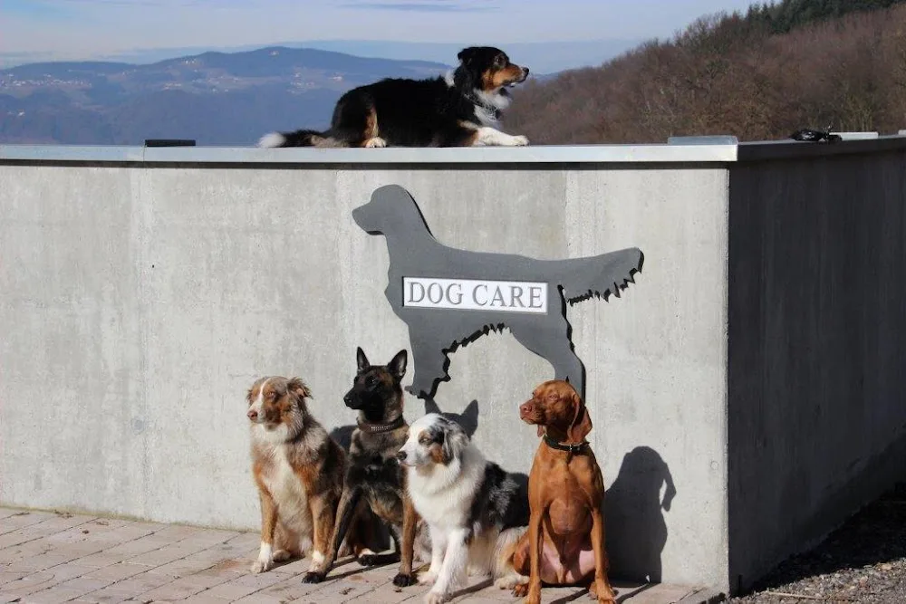 Dog Care Hundehotel und Gesundheitsoase - Austria pet otel görseli 2