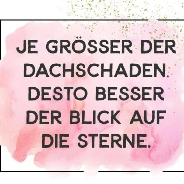 Dog Care Hundehotel und Gesundheitsoase - Austria pet otel görseli 4