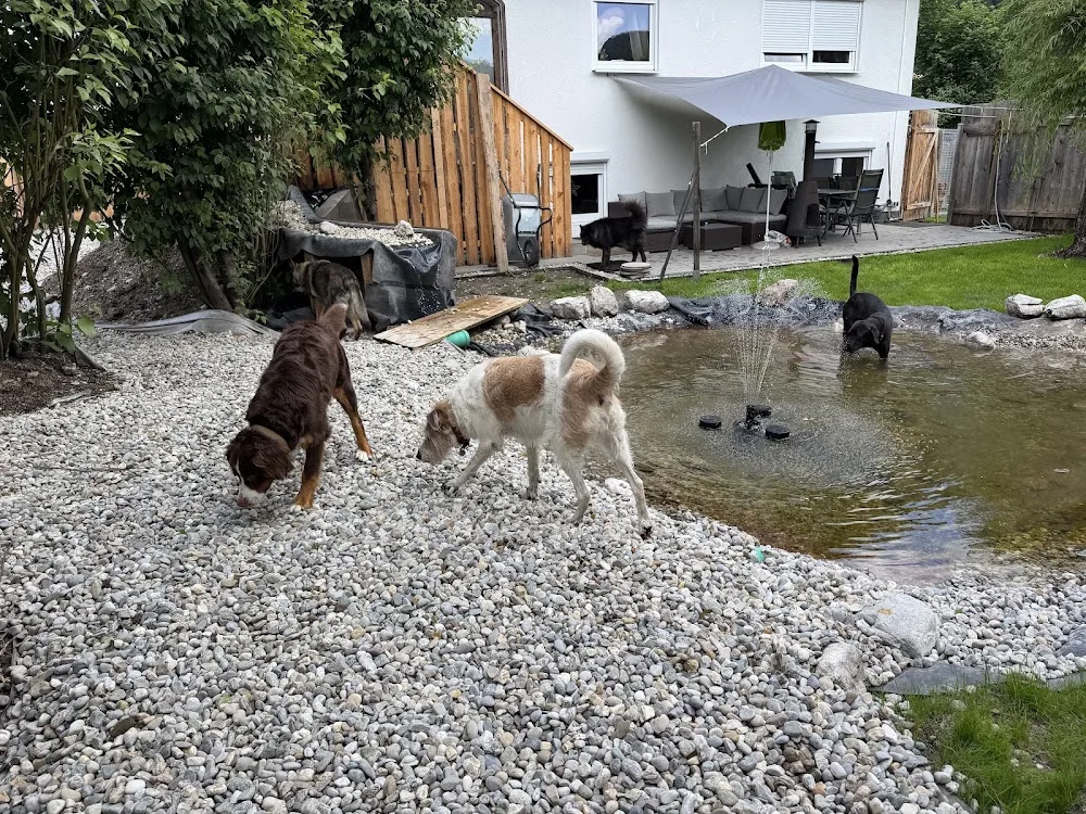 Hundebetreuung Best Friend - Schwendt - Austria pet otel