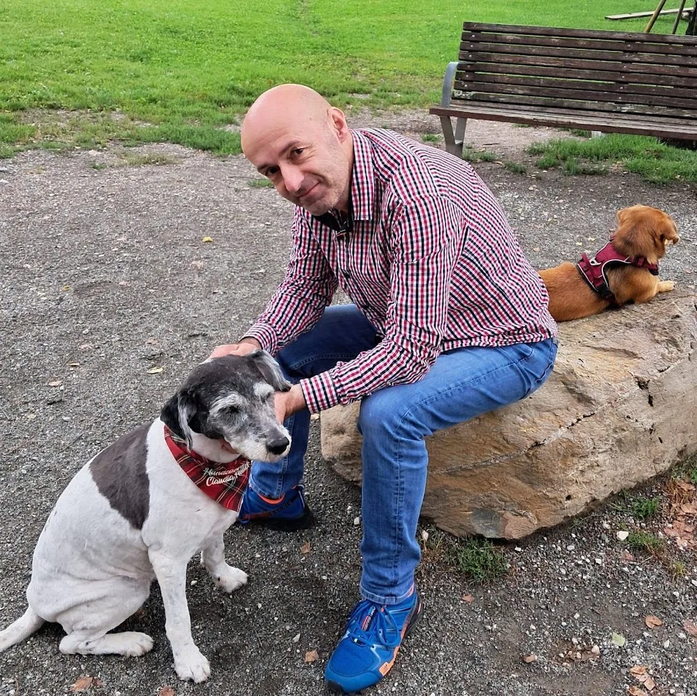 Hundebetreuung Claudia Hutter - Austria pet otel görseli 2