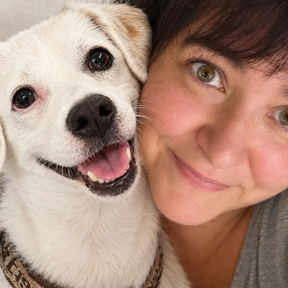 Hundebetreuung Claudia Hutter - Austria pet otel görseli 4