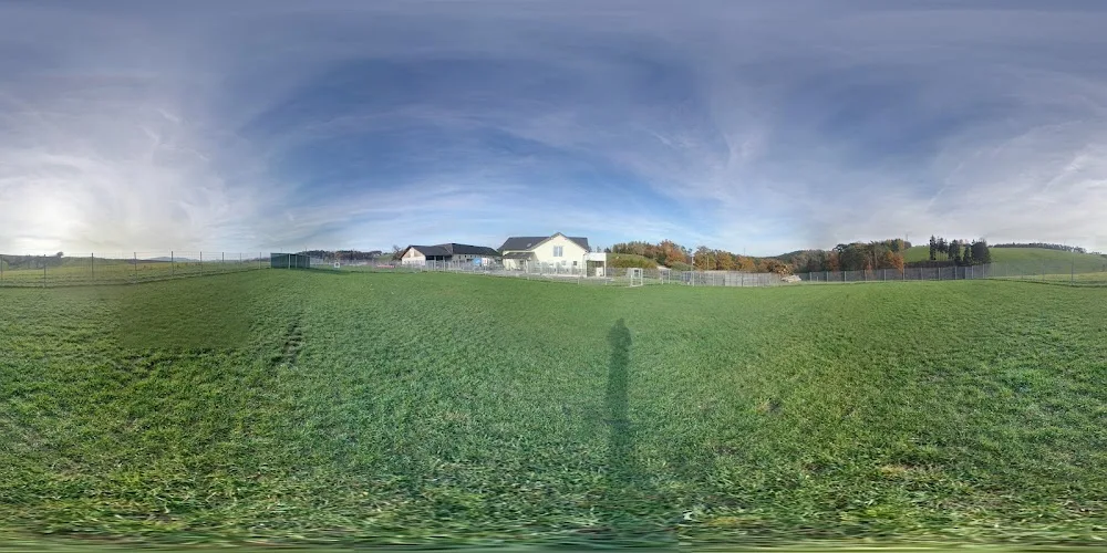 Hundepension Amico - Austria pet otel görseli 3