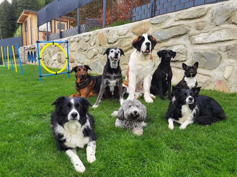 Hundepension Bergparadies - Austria pet otel görseli 6