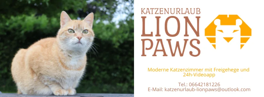 Katzenpension Katzenurlaub Lion Paws - Austria pet otel görseli 10