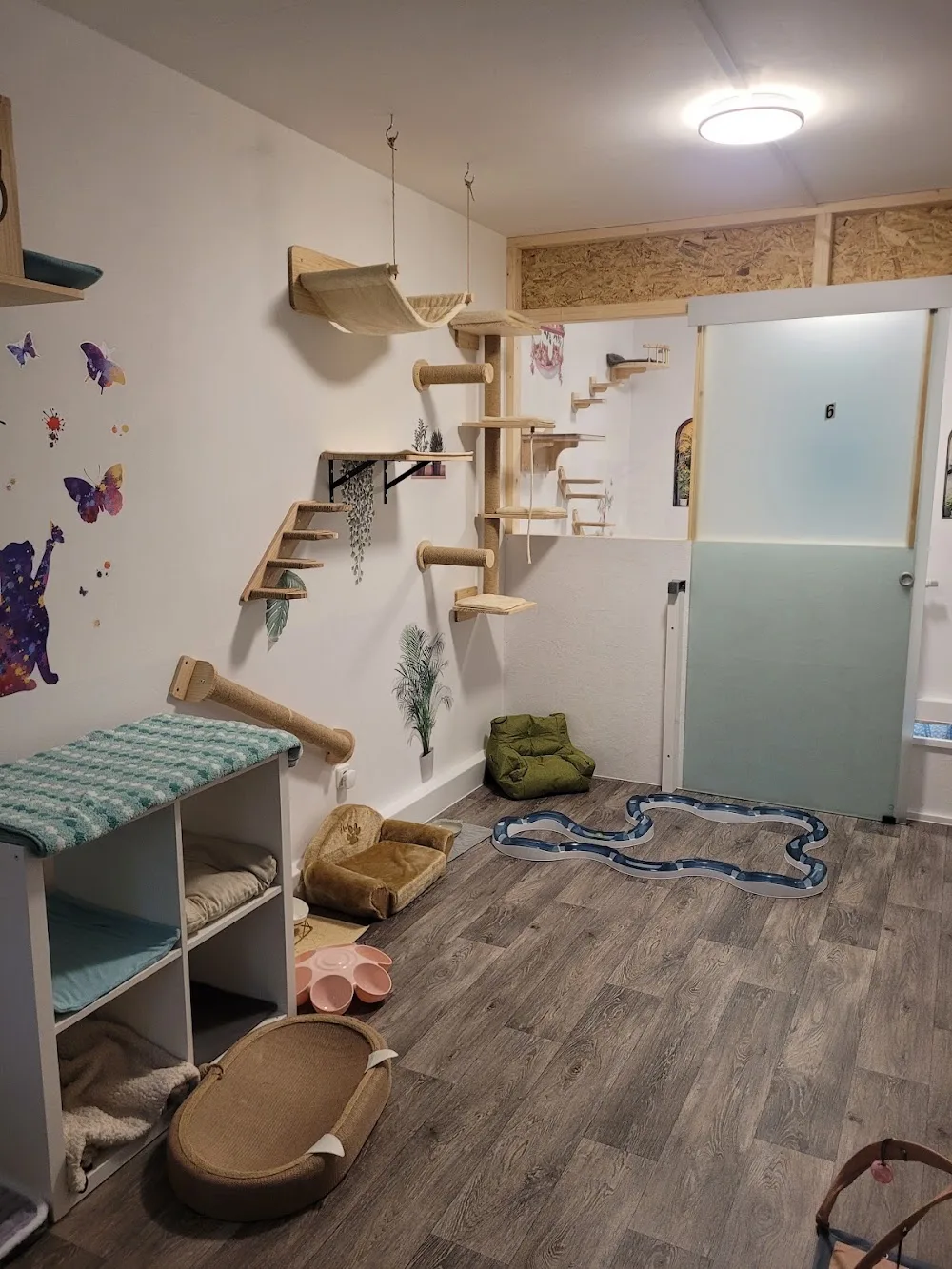 Katzenpension Pfotenharmonie - Austria pet otel görseli 11