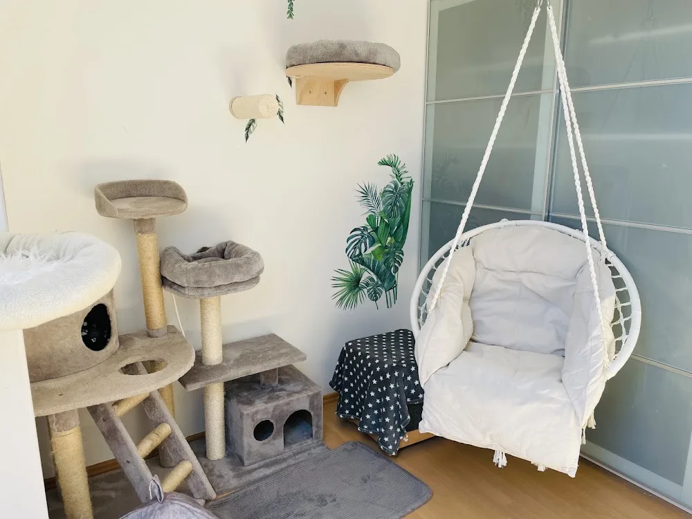 Katzenpension Wallner - Austria pet otel görseli 11