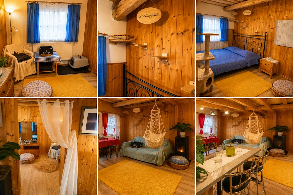 MO Tierparadies Haustierbestattung Tierboutique - Austria pet otel görseli 7