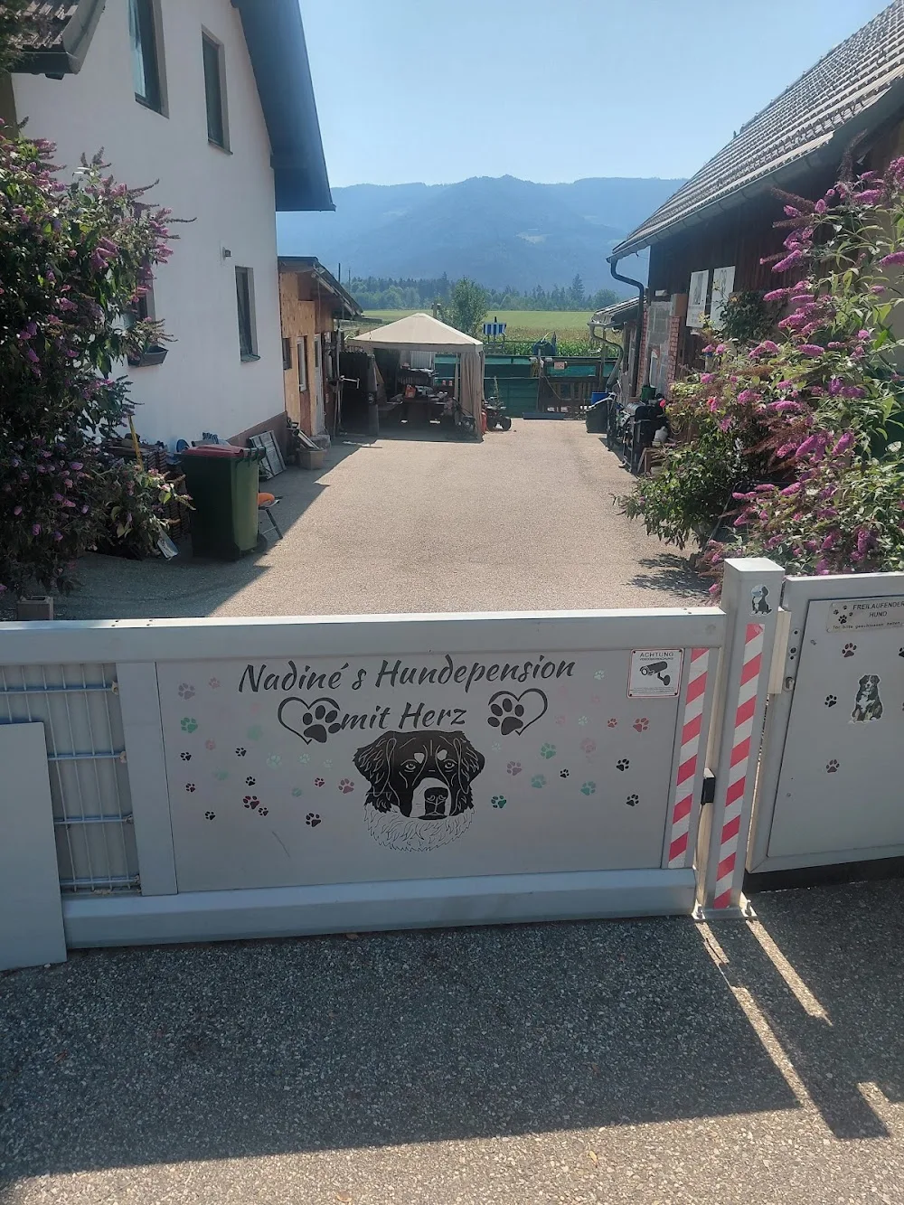 Nadine's Hundepension mit Herz - Austria pet otel görseli 7