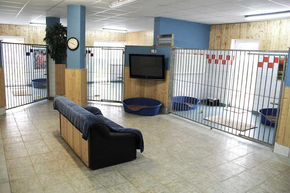 Schnauzerl Tierpension - Austria pet otel görseli 11