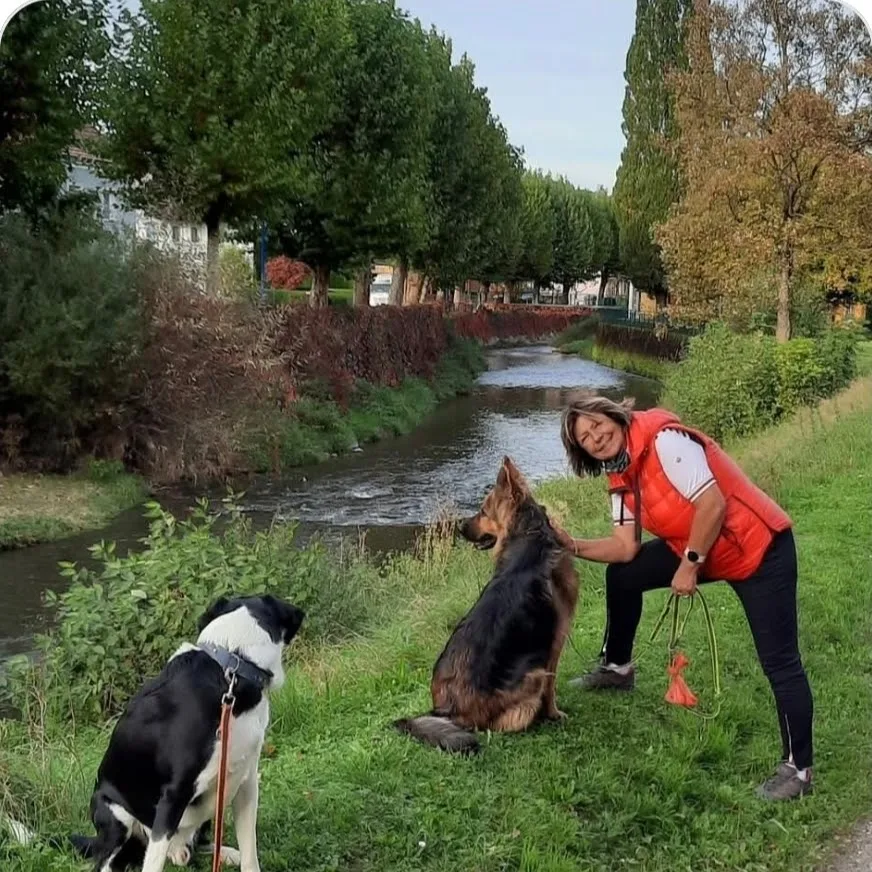 Tierpension Altmünster - Austria pet otel görseli 5