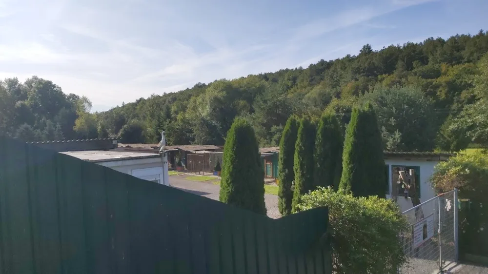 Tierpension Schandl - Austria pet otel görseli 3