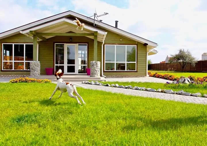 Dog&Cat Hotel - Autonomous Republic of Crimea pet otel