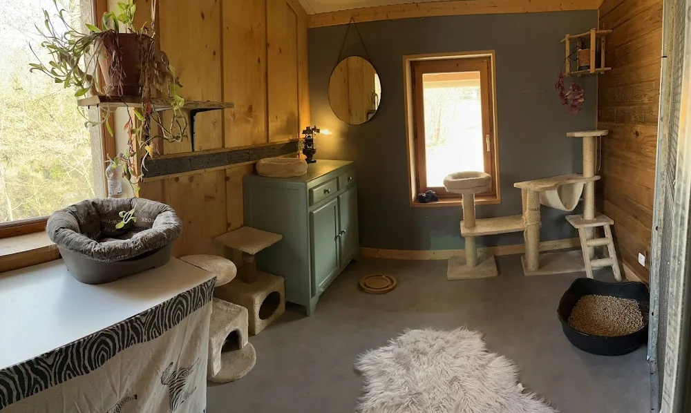 Garderie féline 74 - Auvergne-Rhône-Alpes pet otel
