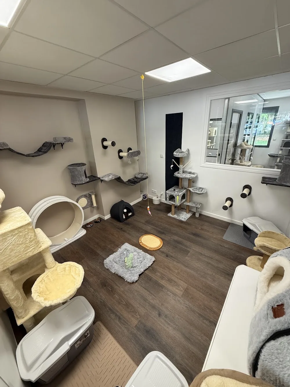 L'Écrin Félin, pension pour chat - Auvergne-Rhône-Alpes pet otel görseli 3