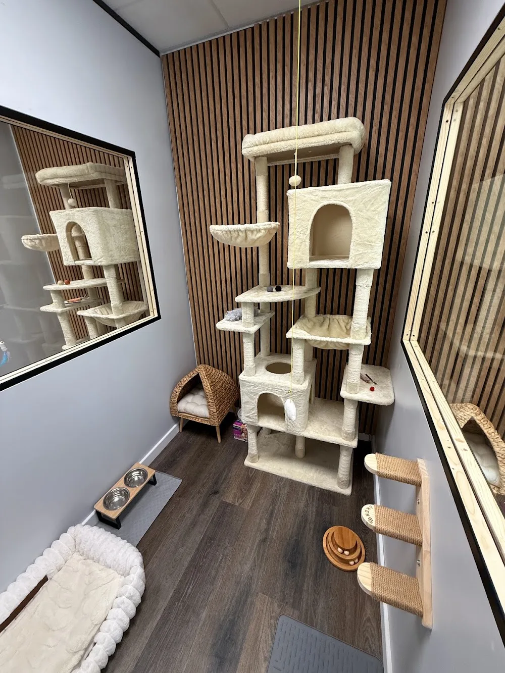 L'Écrin Félin, pension pour chat - Auvergne-Rhône-Alpes pet otel görseli 6