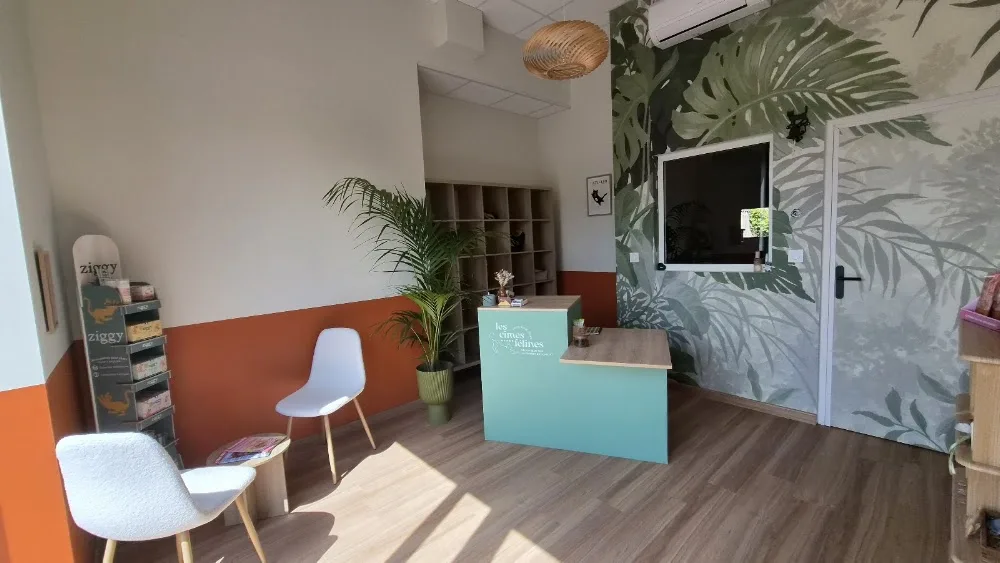 Les Cimes Félines - Auvergne-Rhône-Alpes pet otel
