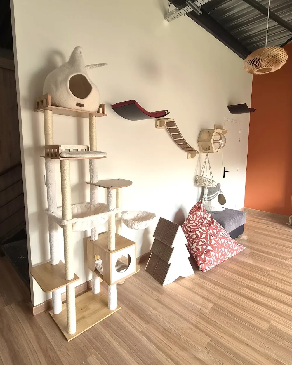 Les Cimes Félines - Auvergne-Rhône-Alpes pet otel görseli 3