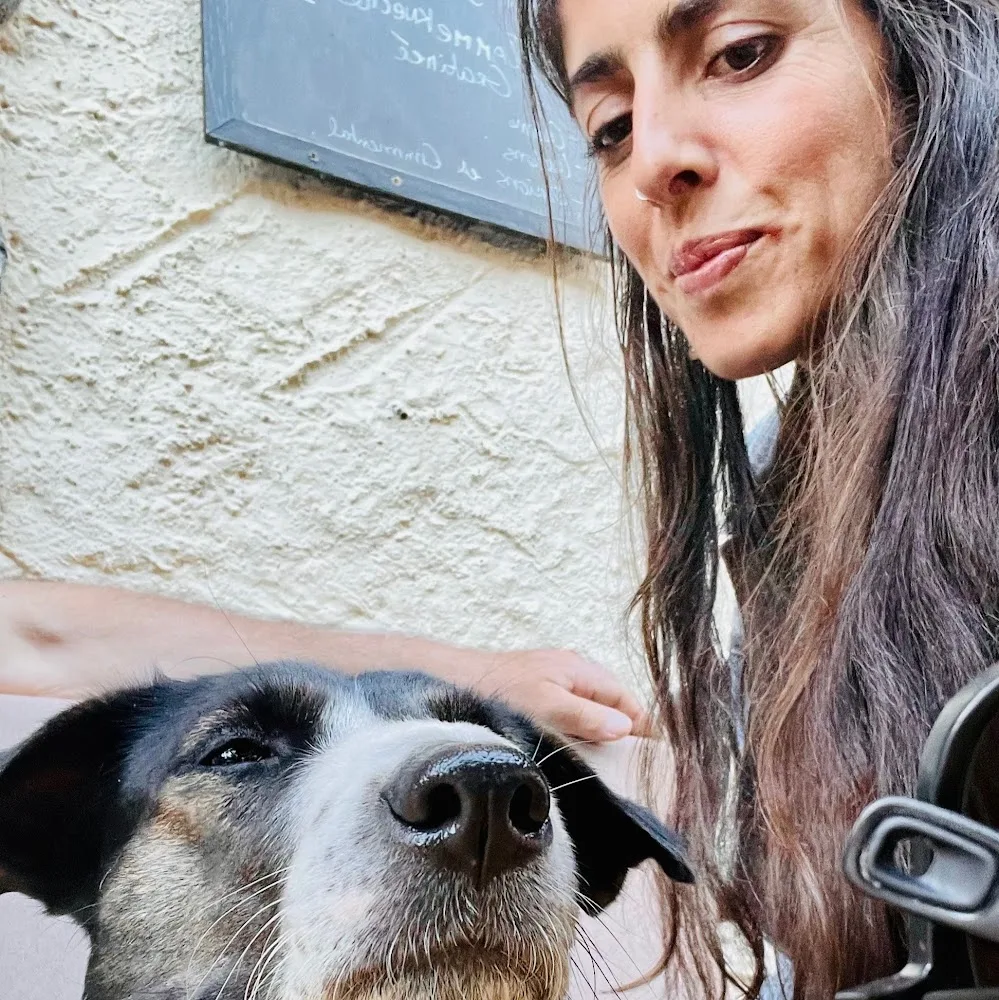 Pension féline Aux Chats Mignons - Auvergne-Rhône-Alpes pet otel görseli 4