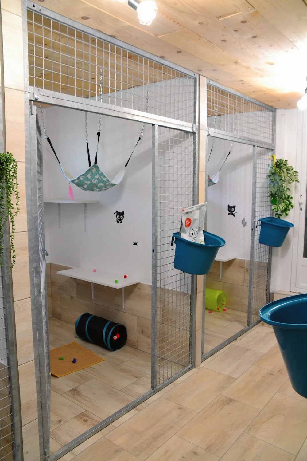 Pension pour chats la Dame d'Haute-Savoie - Auvergne-Rhône-Alpes pet otel görseli 6