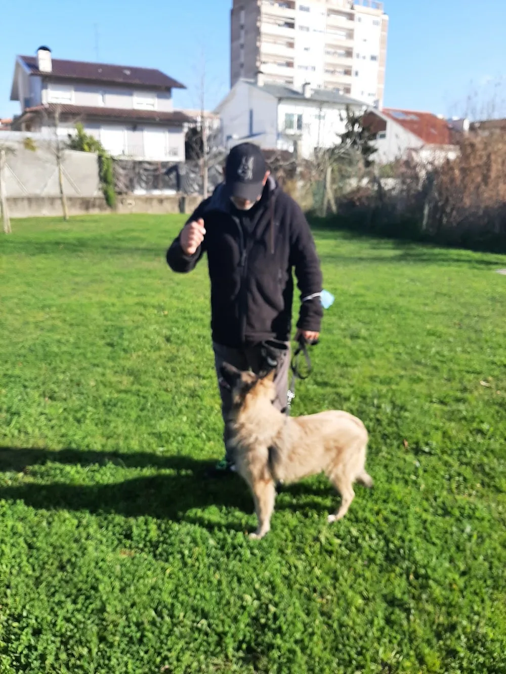 PetResort - Aveiro pet otel