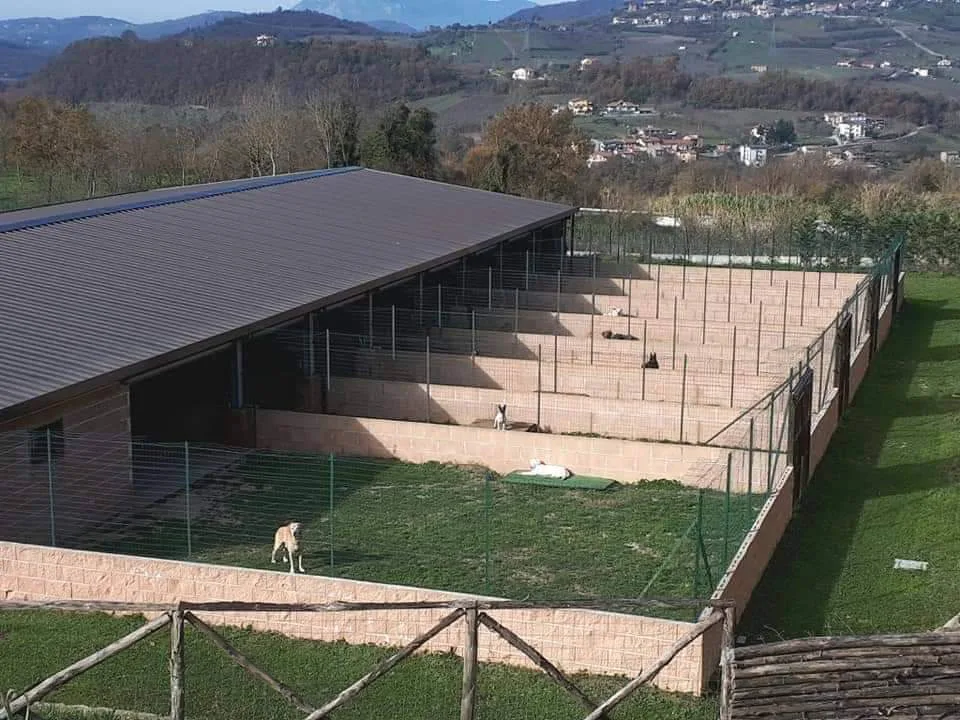 Dog Happy Village Di Apuzzo Franco - Avellino pet otel