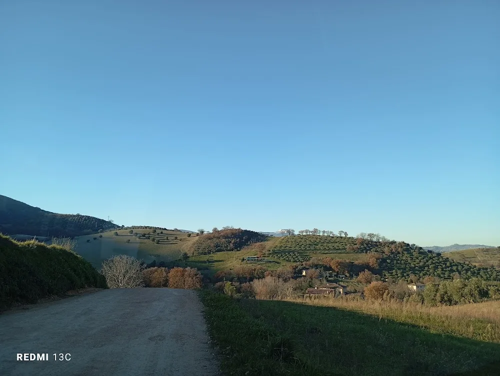 Pensione Per Cani Amico Mio - Avellino pet otel görseli 7