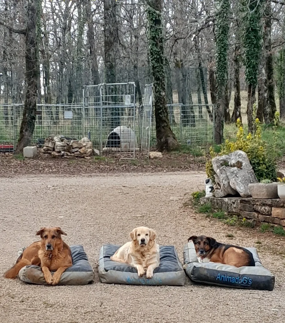 La villa d'Andréa - Aveyron pet otel görseli 3