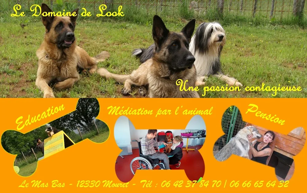 Le Domaine de Look : Education et pension canine - Aveyron pet otel