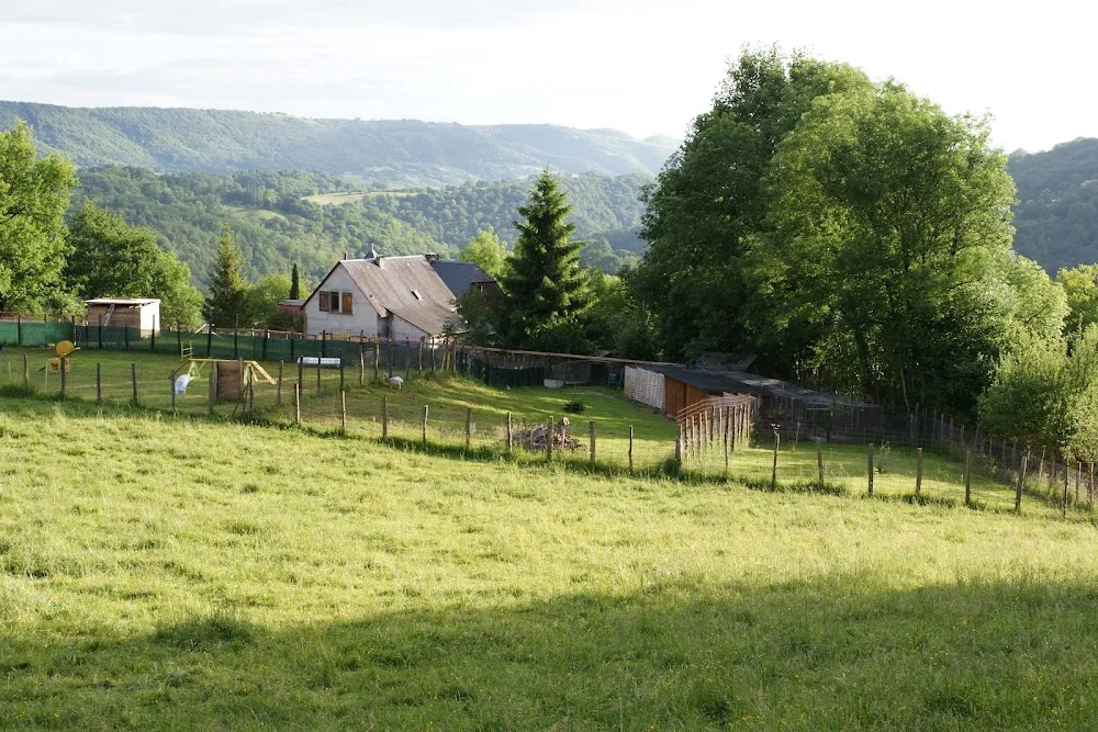 Le Domaine de Look : Education et pension canine - Aveyron pet otel görseli 3