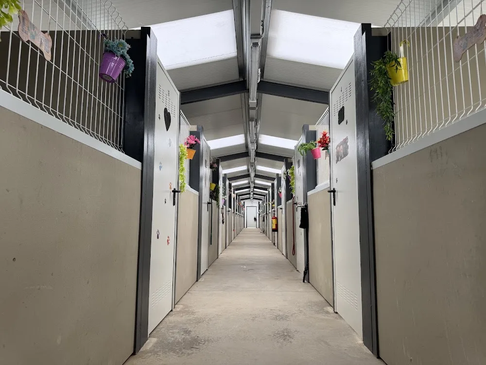 Centro Canino Avilcan - Ávila pet otel